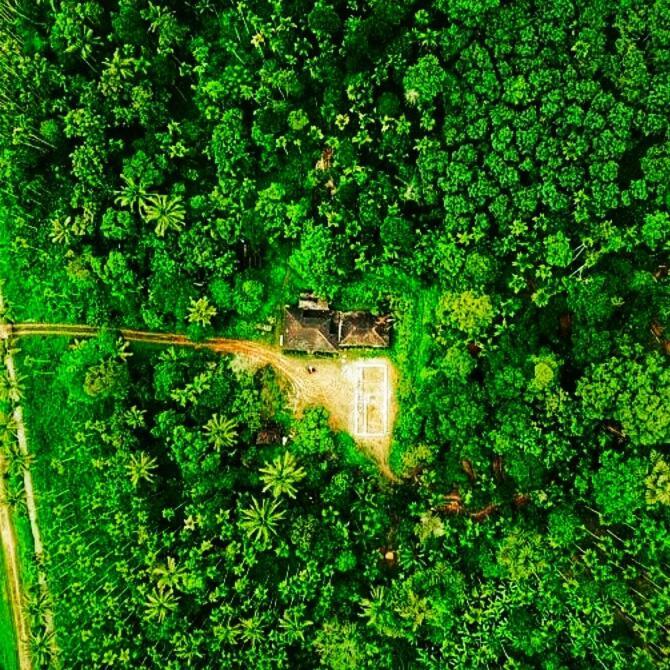 Kaniyāmbetta Swastha Plantation Homestay מראה חיצוני תמונה