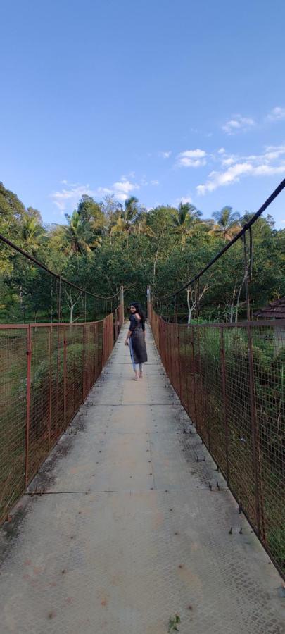 Kaniyāmbetta Swastha Plantation Homestay מראה חיצוני תמונה